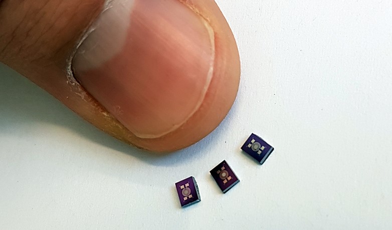 Elektronik Kurtarma Köpeği